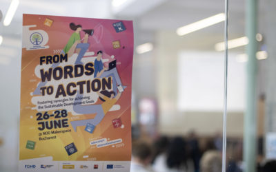 The 11th edition of the Romanian Development Camp during the EU Presidency Project